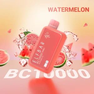 ELFBAR BC10 000 PUFF - WATERMELON ICE 5%