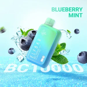 ELFBAR BC10 000 PUFF - BLUEBERRY MINT 5%