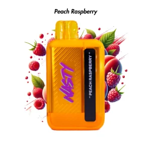 NASTY 9000 PUFF (D9Ki) 5% - PEACH RASPBERRY