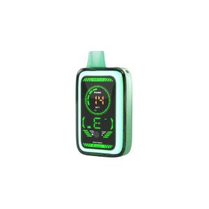 VABEEN CYBERFLEX 25 000 PUFFS 5% - LUSH ICE