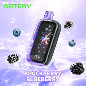ARTERY CT3 45 000 PUFF 5% - BLACKBERRY BLUEBERRY