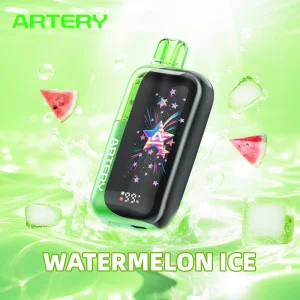 ARTERY CT3 45 000 PUFF 5% - WATERMELON ICE