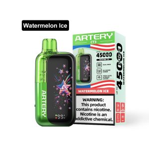 ARTERY CT3 45 000 PUFF 5% - WATERMELON ICE